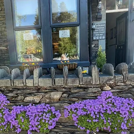 Guest house Autumn Leaves Windermere