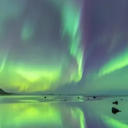 Autumn Leaves Πανσιόν Windermere