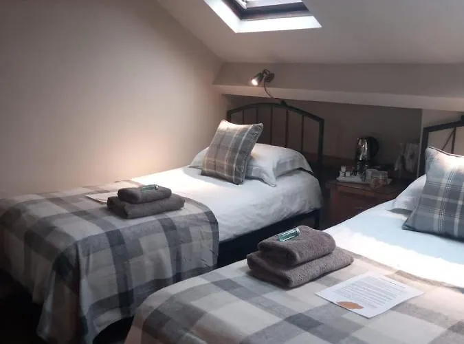 Autumn Leaves ويندرمير