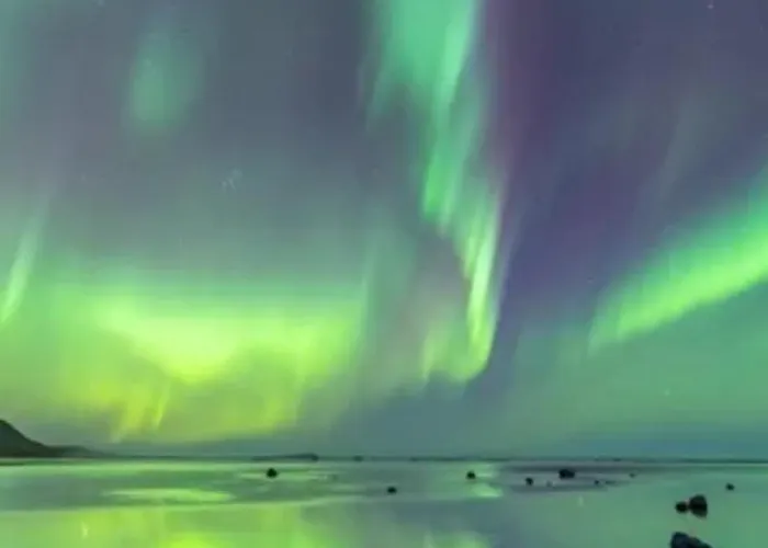 Autumn Leaves بيت ضيافة ويندرمير